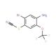 5-Bromo-4-thiocyanato-2-(trifluoromethoxy)aniline (CAS 1133115-30-6) - chemical structure image