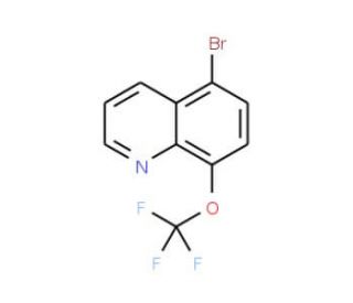 5-Bromo-8-trifluoromethoxyquinoline (CAS 1065074-23-8) - chemical structure image
