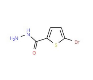 5-Bromo-thiophene-2-carboxylic acid hydrazide (CAS 98027-27-1) - chemical structure image