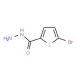 5-Bromo-thiophene-2-carboxylic acid hydrazide (CAS 98027-27-1) - chemical structure image