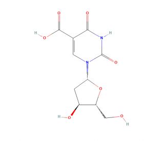 5-Carboxy-2&prime;-deoxyuridine (CAS 14599-46-3) - chemical structure image