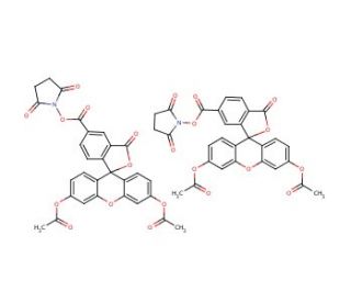 5-Carboxy-fluorescein diacetate N-succinimidyl ester (CAS 150206-05-6) - chemical structure image