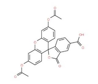 5-Carboxyfluorescein Diacetate (CAS 79955-27-4) - chemical structure image