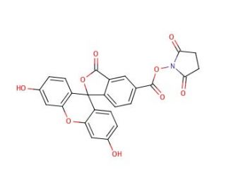 5-Carboxyfluorescein-N-hydroxysuccinimide Ester (CAS 92557-80-7) - chemical structure image