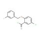5-chloro-2-[(3-fluorobenzyl)oxy]benzoyl chloride - chemical structure image