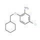 5-Chloro-2-(cyclohexylmethoxy)aniline - chemical structure image