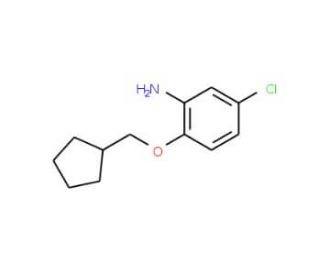 5-Chloro-2-(cyclopentylmethoxy)aniline - chemical structure image