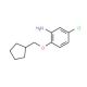 5-Chloro-2-(cyclopentylmethoxy)aniline - chemical structure image