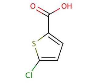 5-Chloro-2-thiophenecarboxylic Acid (CAS 24065-33-6) - chemical structure image