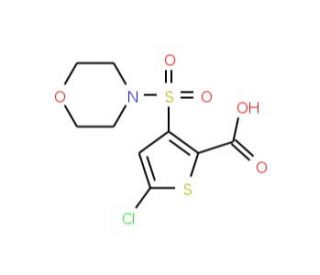 5-Chloro-3-(morpholin-4-ylsulfonyl)thiophene-2-carboxylic acid (CAS 948015-50-7) - chemical structure image