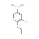 5-Chloro-6-ethoxypyridine-3-boronic acid (CAS 1150114-68-3) - chemical structure image