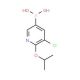 5-Chloro-6-isopropoxypyridine-3-boronic acid (CAS 1150114-69-4) - chemical structure image