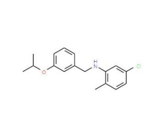 5-Chloro-N-(3-isopropoxybenzyl)-2-methylaniline - chemical structure image