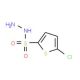5-Chloro-thiophene-2-sulfonyl hydrazine (CAS 78380-28-6) - chemical structure image