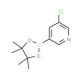 5-Chloropyridine-3-boronic acid pinacol ester (CAS 865186-94-3) - chemical structure image