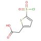[5-(chlorosulfonyl)thien-2-yl]acetic acid - chemical structure image