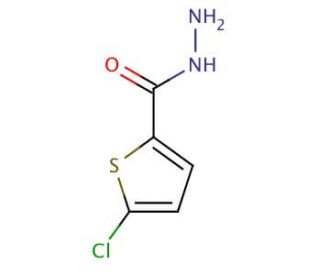 5-Chlorothiophene-2-carboxylic acid hydrazide (CAS 351983-31-8) - chemical structure image