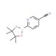 5-Cyanopyridine-2-boronic acid pinacol ester (CAS 1073353-83-9) - chemical structure image