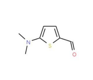 5-(dimethylamino)thiophene-2-carbaldehyde (CAS 24372-46-1) - chemical structure image