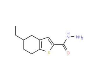 5-ethyl-4,5,6,7-tetrahydro-1-benzothiophene-2-carbohydrazide - chemical structure image
