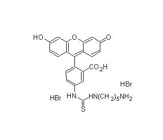5-FITC cadaverine - chemical structure image 
