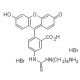 5-FITC cadaverine - chemical structure image 