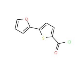 5-Fur-2-ylthiophene-2-carbonyl chloride (CAS 868755-63-9) - chemical structure image