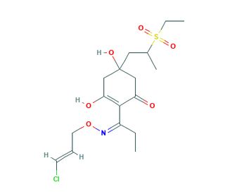 5-Hydroxy-clethodim Sulfone (CAS 111031-11-9) - chemical structure image