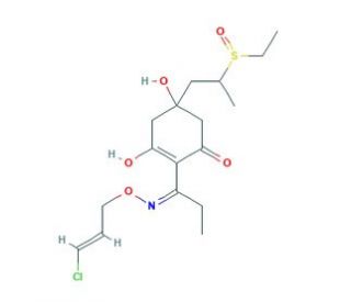 5-Hydroxy-clethodim Sulfoxide (CAS 111031-08-4) - chemical structure image