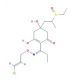 5-Hydroxy-clethodim Sulfoxide (CAS 111031-08-4) - chemical structure image