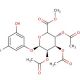 5-Iodoresorcinol-2′,3′,4′-tri-O-acetyl-β-D-glucuronide Methyl Ester (CAS 490028-20-1) - chemical structure image