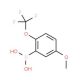 5-Methoxy-2-(trifluoromethoxy)phenylboronic acid (CAS 1079402-25-7) - chemical structure image