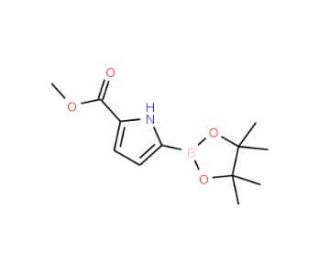 5-(Methoxycarbonyl)pyrrole-2-boronic acid, pinacol ester (CAS 676501-89-6) - chemical structure image