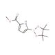 5-(Methoxycarbonyl)pyrrole-2-boronic acid, pinacol ester (CAS 676501-89-6) - chemical structure image