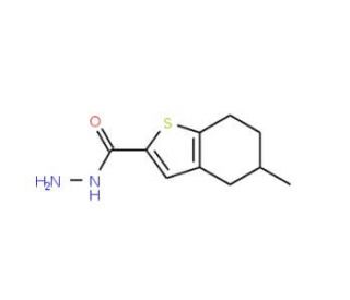5-methyl-4,5,6,7-tetrahydro-1-benzothiophene-2-carbohydrazide - chemical structure image