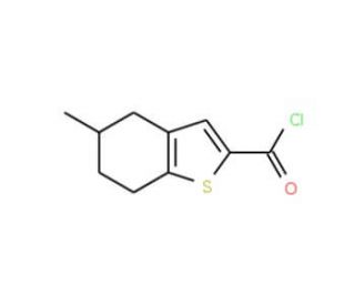5-Methyl-4,5,6,7-tetrahydro-benzo[b]thiophene-2-carbonyl chloride - chemical structure image