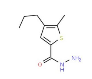 5-methyl-4-propylthiophene-2-carbohydrazide - chemical structure image