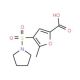 5-methyl-4-(pyrrolidine-1-sulfonyl)furan-2-carboxylic acid - chemical structure image