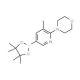 5-Methyl-6-(4-morpholinyl)pyridine-3-boronic acid pinacol ester 的分子结构, CAS编号: 1073372-03-8 5-Methyl-6-(4-morpholinyl)pyridine-3-boronic acid pinacol ester (CAS 1073372-03-8) - chemical structure image