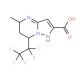 5-Methyl-7-(pentafluoroethyl)-4,5,6,7-tetrahydro-pyrazolo[1,5-a]pyrimidine-2-carboxylic acid - chemical structure image