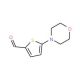 5-Morpholin-4-yl-thiophene-2-carbaldehyde (CAS 24372-49-4) - chemical structure image