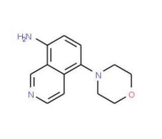 5-morpholin-4-ylisoquinolin-8-amine - chemical structure image