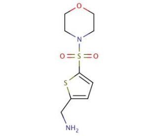 [5-(morpholin-4-ylsulfonyl)thien-2-yl]methylamine - chemical structure image