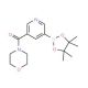 5-(Morpholine-4-carbonyl)pyridin-3-ylboronic acid pinacol ester (CAS 1073371-92-2) - chemical structure image