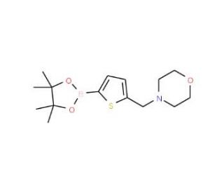 5-(Morpholinomethyl)-2-thiopheneboronic acid pinacol ester (CAS 950603-39-1) - chemical structure image