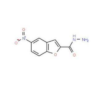 5-Nitro-1-benzofuran-2-carbohydrazide - chemical structure image