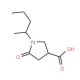 5-oxo-1-(pentan-2-yl)pyrrolidine-3-carboxylic acid - chemical structure image