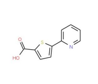 5-(Pyridin-2-yl)thiophene-2-carboxylic acid (CAS 119082-97-2) - chemical structure image