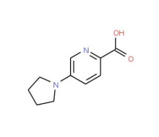 5-(Pyrrolidin-1-yl)pyridine-2-carboxylic acid (CAS 950603-19-7) - chemical structure image