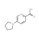 5-(Pyrrolidin-1-yl)pyridine-2-carboxylic acid (CAS 950603-19-7) - chemical structure image
